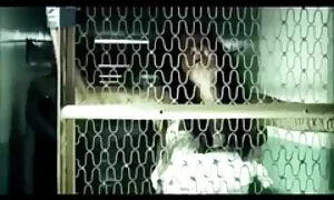 Нерухомість, порно відео онлайн без реєстрації яка не просто обслуговує задоволених клієнтів
