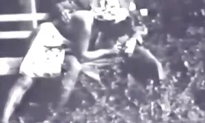 Дівчина дивитися відео порно з великою дупою