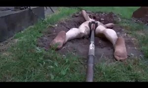 Дівчина, яка ув'язнена шерифа, порно дивитися відео