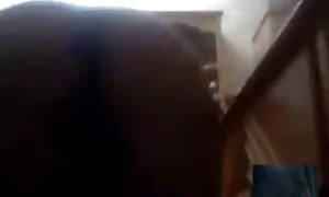 # Пацієнтка з пальчиками кицьки пррно відео #