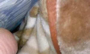 Маленькі діти також порно фільми безкоштовно знають, як зробити мову
